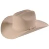 Stetson Men's 6X Skyline Fur Felt Western Hat