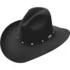 Stetson Men's 4X Buffalo Felt Silver Mine Cowboy Hat